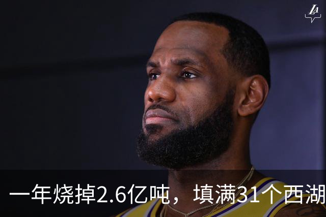一年烧掉2.6亿吨，填满31个西湖！中国的垃圾，不够烧了？