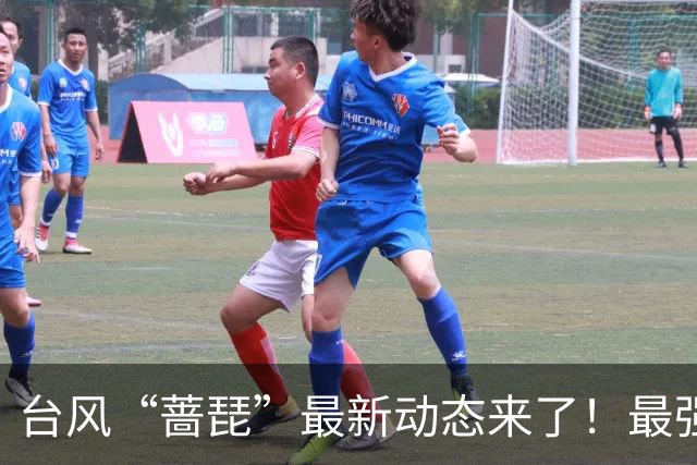 台风“蔷琵”最新动态来了！最强降水时段→