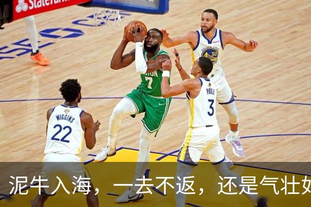 泥牛入海，一去不返，还是气壮如牛，卷土重来？这些新星给出了答案